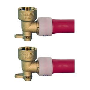 Apollo 2-Pack 3/4 in. Brass PEX-A Expansion Barb x 3/4 in. FPT Adapter Elbow